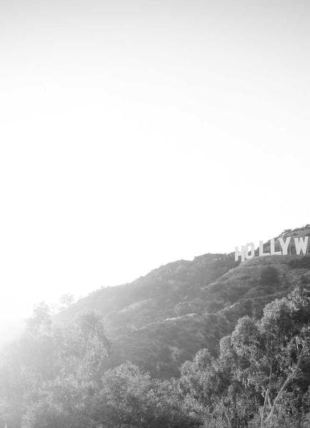 hilltop house — material detail